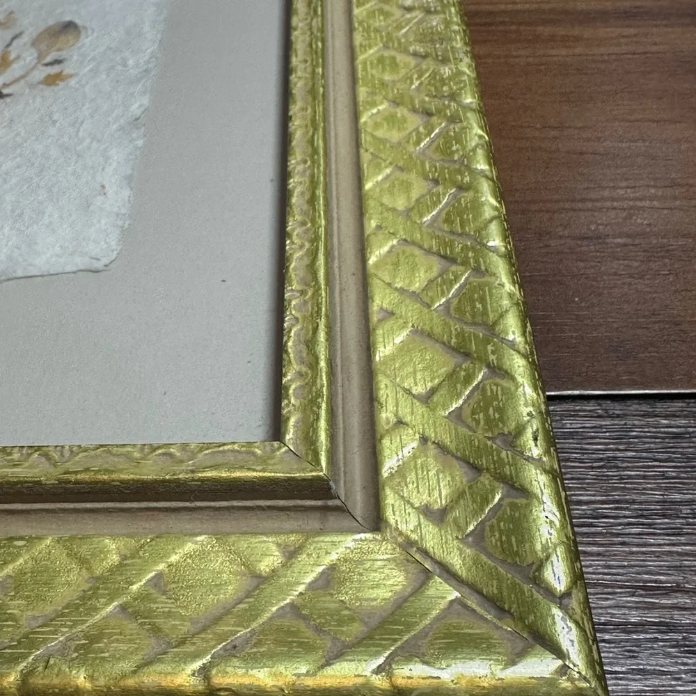 Vintage Pressed Botanical Art – Set of 2 |‎ Framed Floral Wall Decor